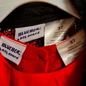 Girl Dress with Coat